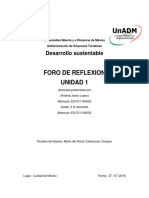 Foro Desarrollo U1