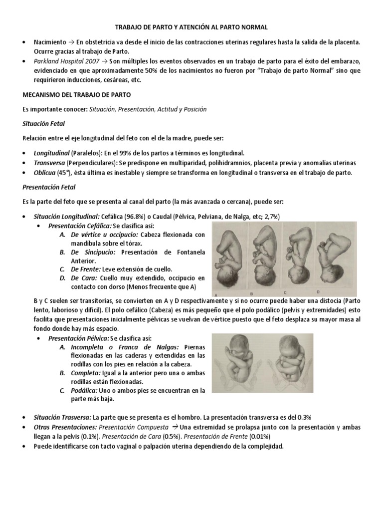 fases-y-mecanismos-del-trabajo-de-parto-pdf-parto-el-embarazo