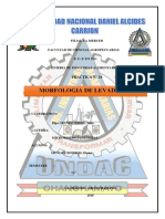 Practica N° 10 Morfologia Levaduras