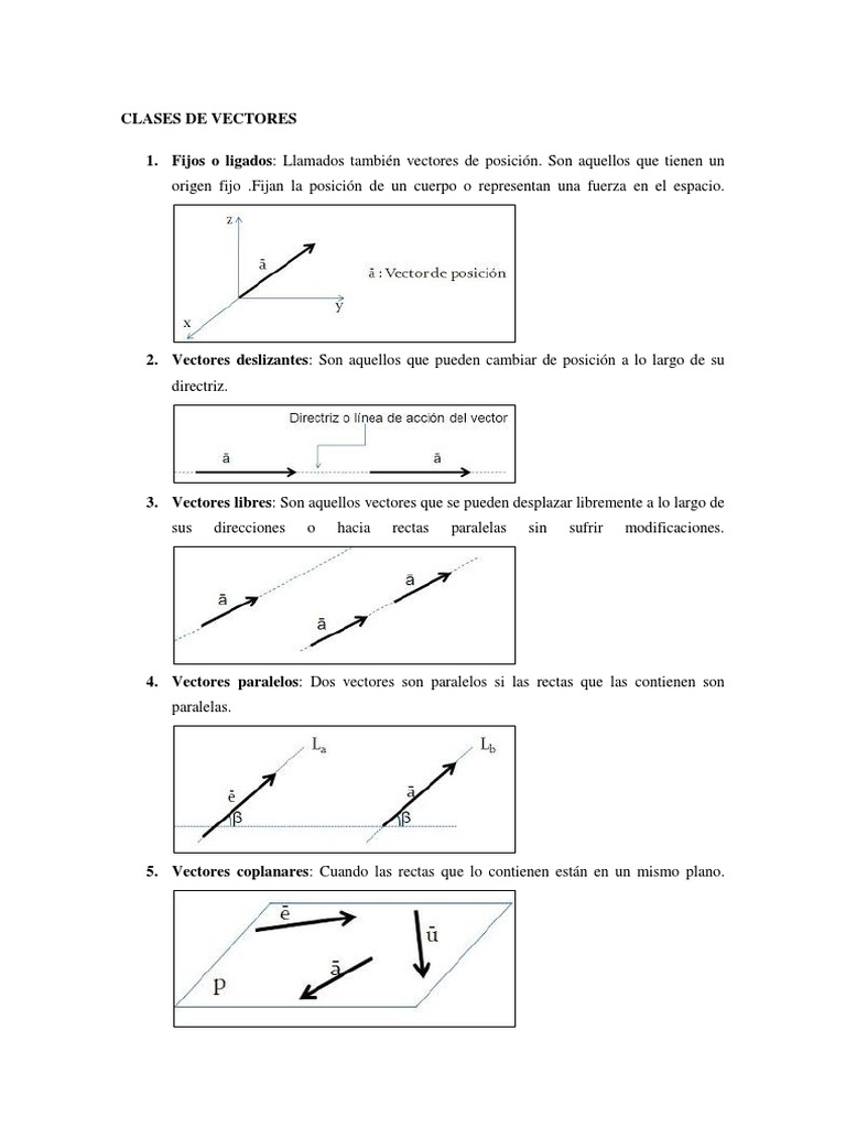 Clases y Tipos de Vectores en Física | PDF | Vector Euclidiano ...