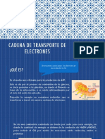 Cadena de Transporte de Electrones: Biologia Celular Antonio Sevilla Daniela Zarate Menes Amy Belen
