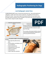Thoracic Positioning Course Handout - Radiographic Positioning For Dogs