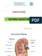 13 Sistema Excretor