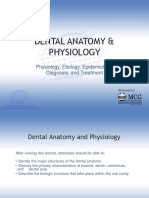 IFDEA Dental Anatomy Educational Teaching Resource.ppt