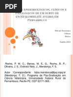 Poli Graf o 2000 Vet 122