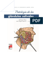 Glandulas Salivales AMORL 2016