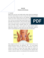 ANATOMI DAN PATOFISIOLOGI HEMOROID