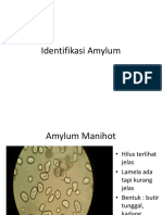 Identifikasi Amylum