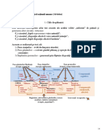 Moral-IV terapeutica Sf Maxim.pdf