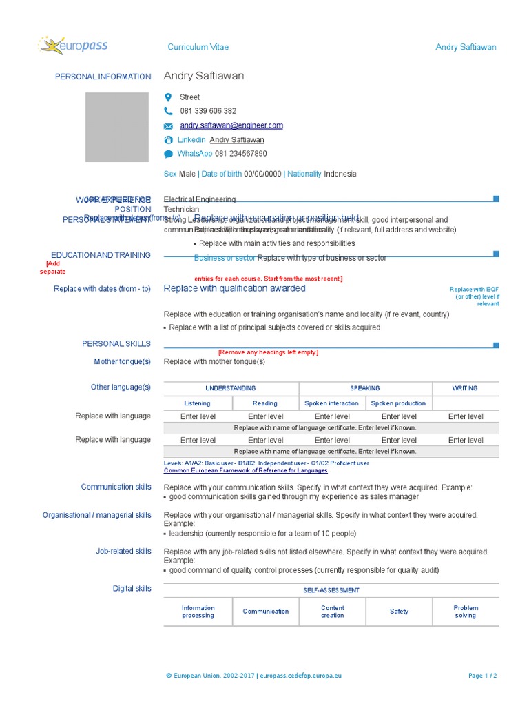 CV Euro Pass | PDF | Communication | Computing