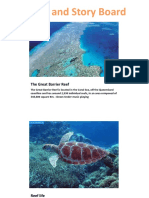 Script and Story Board: The Great Barrier Reef