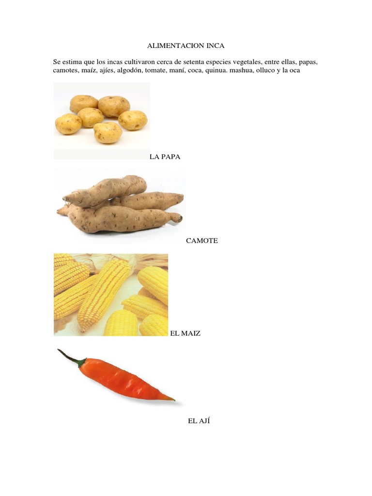 Alimentos de Los Incas | PDF