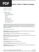 Download Netters Clinical Anatomy by Viren Doshi SN38441472 doc pdf