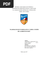 Elaboracion de Un Bioplastico Casero A Partir Del Almidón de Maíz