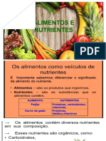 Alimentos e Piramide Alimentar