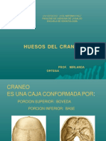 HUESOS DEL CRÁNEO