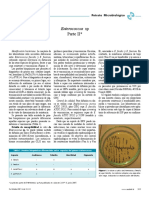 Enterococos 2 PDF