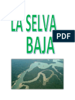 Monografia Selva Baja