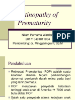 PUPU Retinopathy of Prematurity