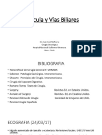 DIA 13_ Vesícula y Vías Biliares Nuñez Ju 2018