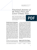 Funtional Anatomy.pdf
