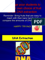 DNA Extraction Practical 