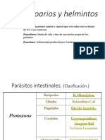 Protozoarios y helmintos intestinales: clasificación, morfología y tratamiento