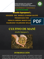 Cultivo de Maní