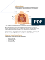 Kedudukan Jantung Dalam Badan