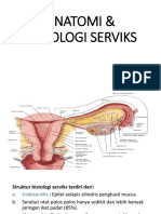 Histologi Serviks