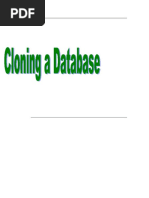 Clone Database