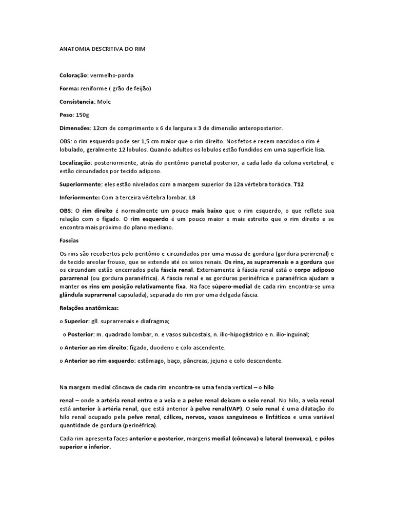Anatomia do Rim e Sistema Urinário | PDF | Rim | Anatomia humana