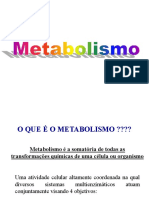Bioenergetica Glicolise Pentose-Fosfato PDF