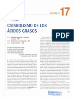 Catabolis Acid Grasos PDF