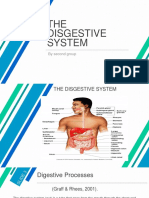 THE Disgestive System: by Second Group