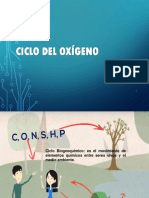 Ciclo Del Oxígeno