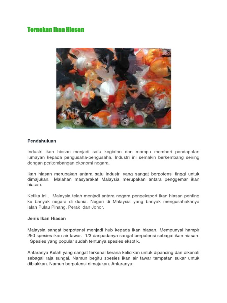 Maklumat Ikan Hiasan2 Pdf