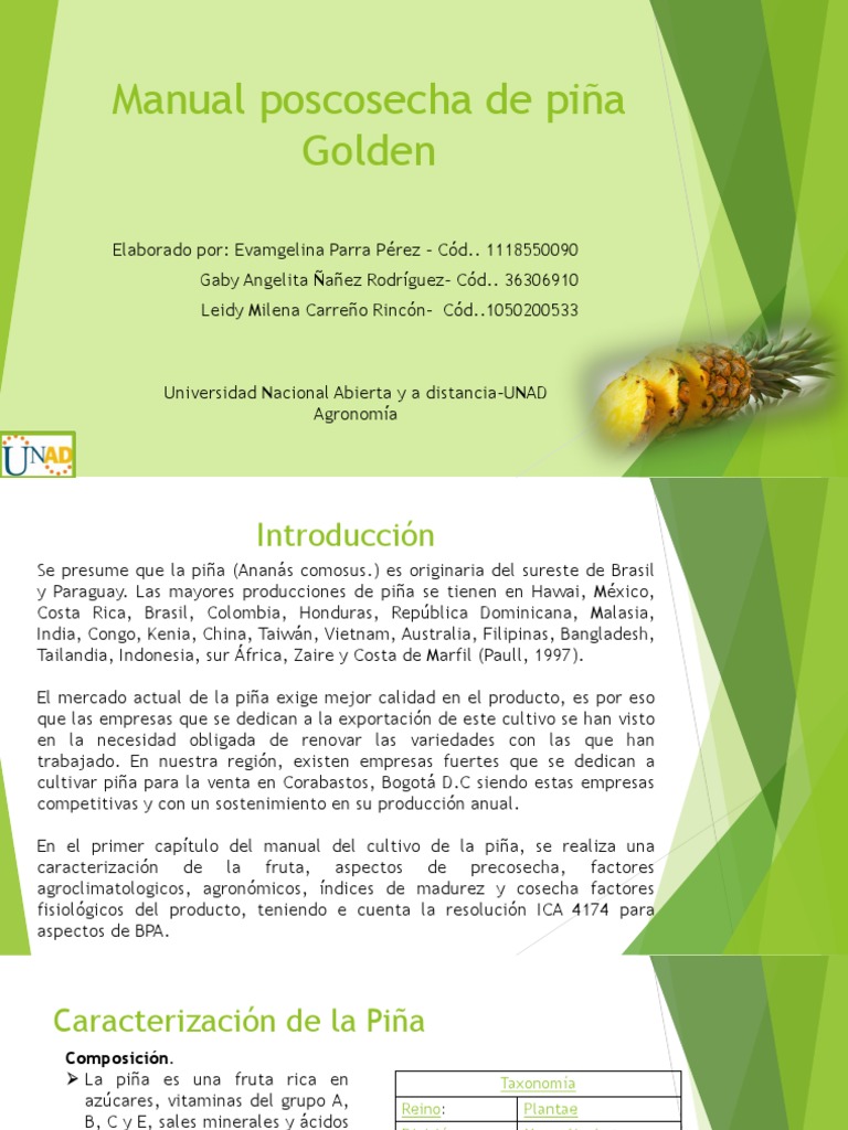 Manual de Poscosecha de Piña Golden | PDF | Piña | Suelo