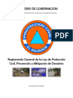 Reglamento de la Ley de Proteccion Civil.pdf