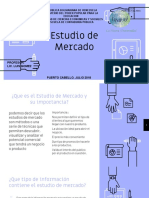 Estudio de Mercado Diapositivas PDF