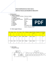 Asga Diabetes Mellitus Erna (KKN)