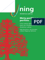 metaperfiles.pdf