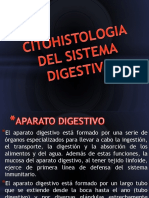 Citohistologia Del Sistema Digestivo