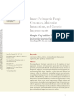 Insect Pathogenic Fungi: Genomics, Molecular Interactions, and Genetic Improvements