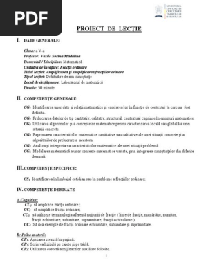 0 17 01 2013 Simplificare Si Amplificare Docx