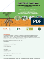 Growing Cassava: A Training Manual From Production To Postharvest