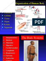Anatomical Terminology, Skeletal System FB2010