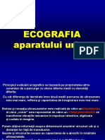 Ecografia AP Urinar Microcurs