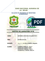 257338331-informe-2-ESTERILIZACION.doc