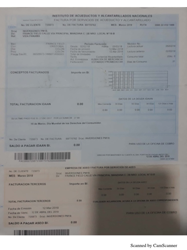 CamScanner Document Overview | PDF